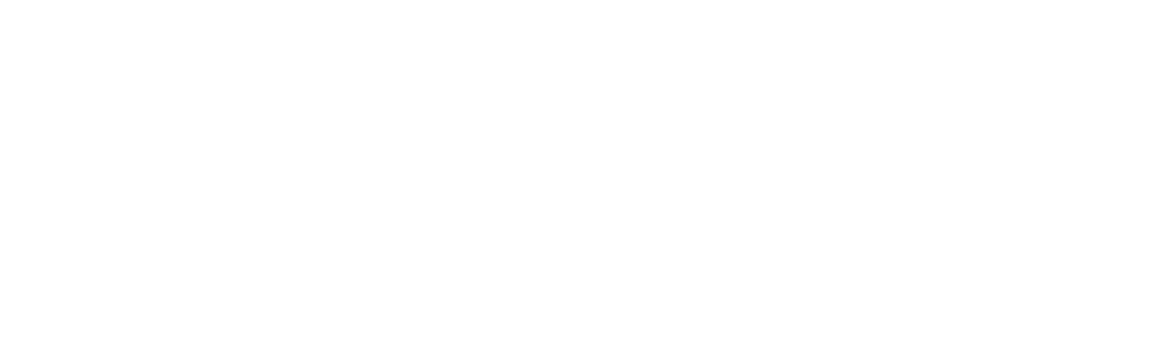 RuneFist Studios